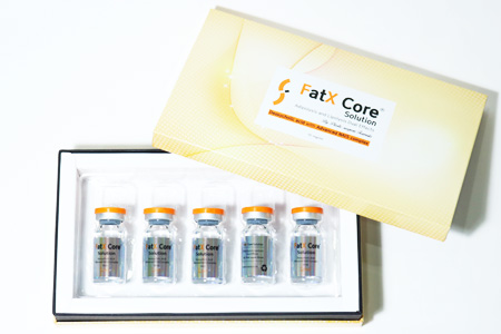 FatX Core Solution