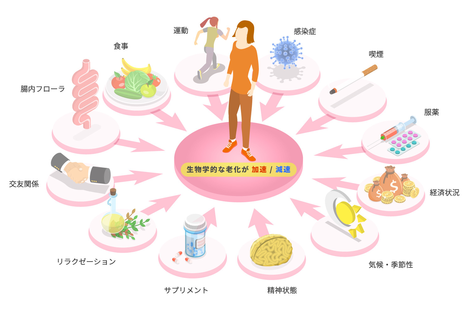 生物学的な老化が加速・減速