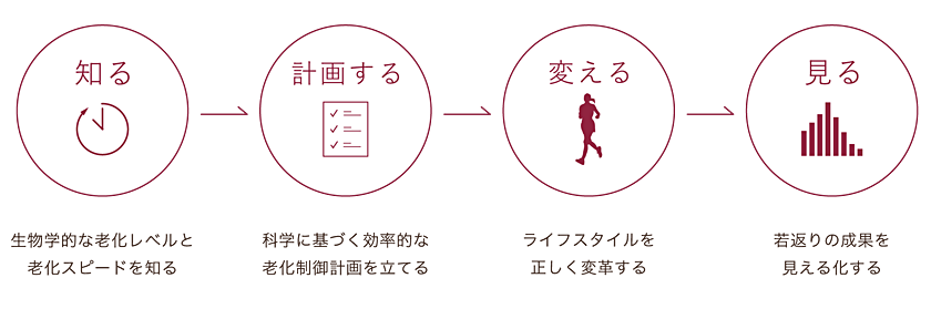 若返りを実現するためのフレームワーク