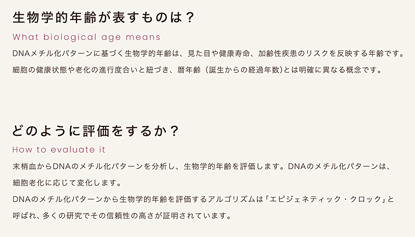 生物学的年齢があらわすものは？