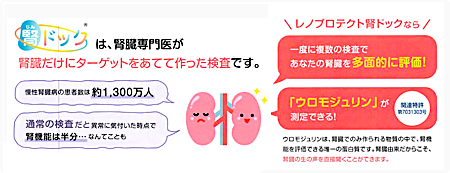 腎ドッグは腎臓専門医が腎臓だけにターゲットをあてて作った検査です