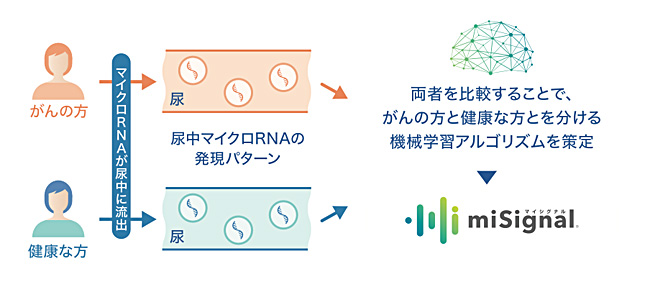 マイクロRNAが尿中に流出。両者を比較することでがんの方と健康な方を分ける