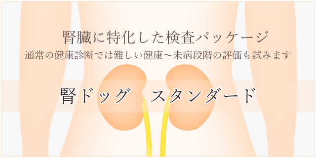 腎臓に特化した検査パッケージ
（通常の健康診断では難しい健康～未病段階の評価も試みます。）
腎ドッグ　スタンダード