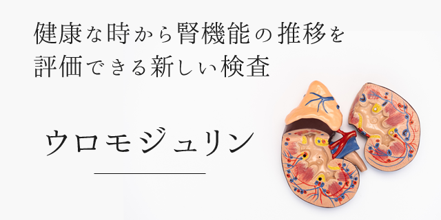 健康な時から腎機能の推移を評価できる新しい検査ウロモジュリン
